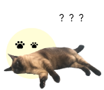 制作実績