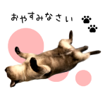 制作実績